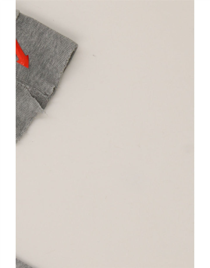 Champion moletom masculino gráfico jumper pequeno algodão manchado cinza
