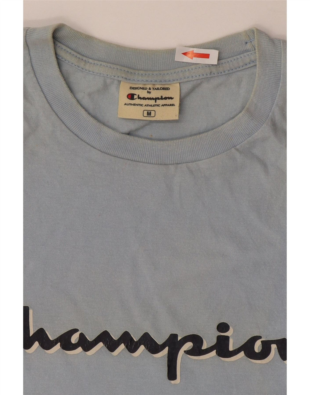 Camiseta masculina estampada Champion algodão listrado azul médio