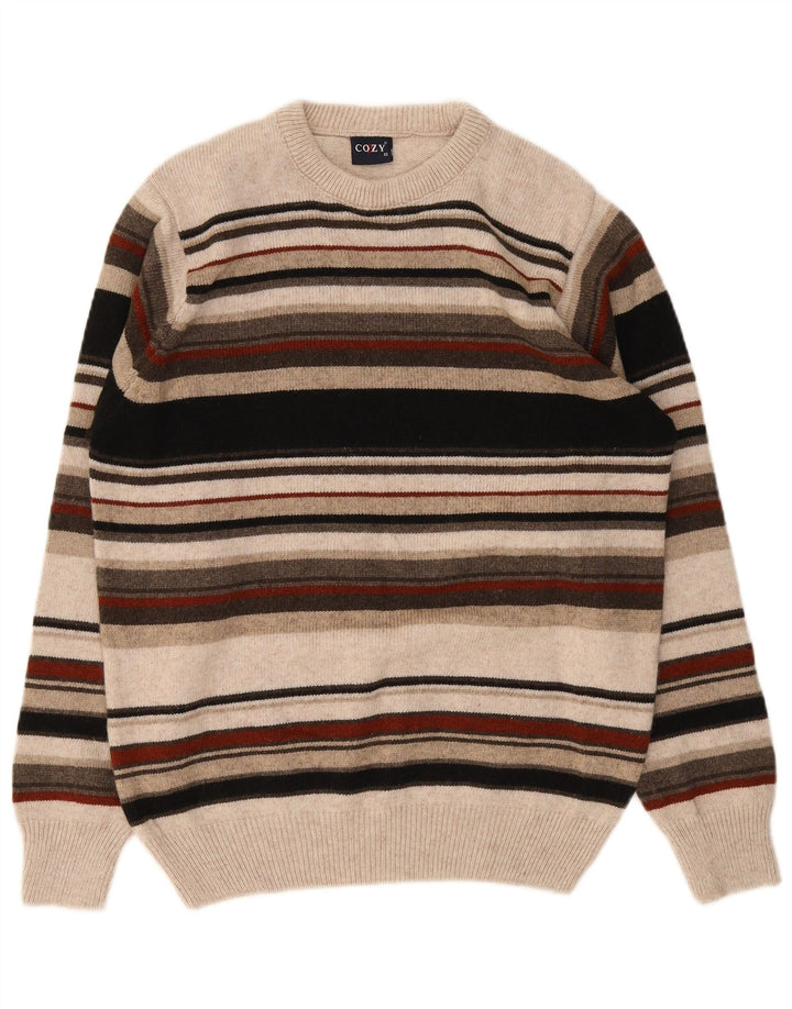 Suéter vintage masculino com gola redonda listrado médio multicolorido