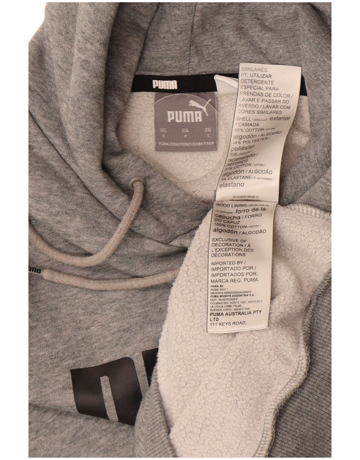 Puma masculino gráfico moletom com capuz pequeno algodão cinza