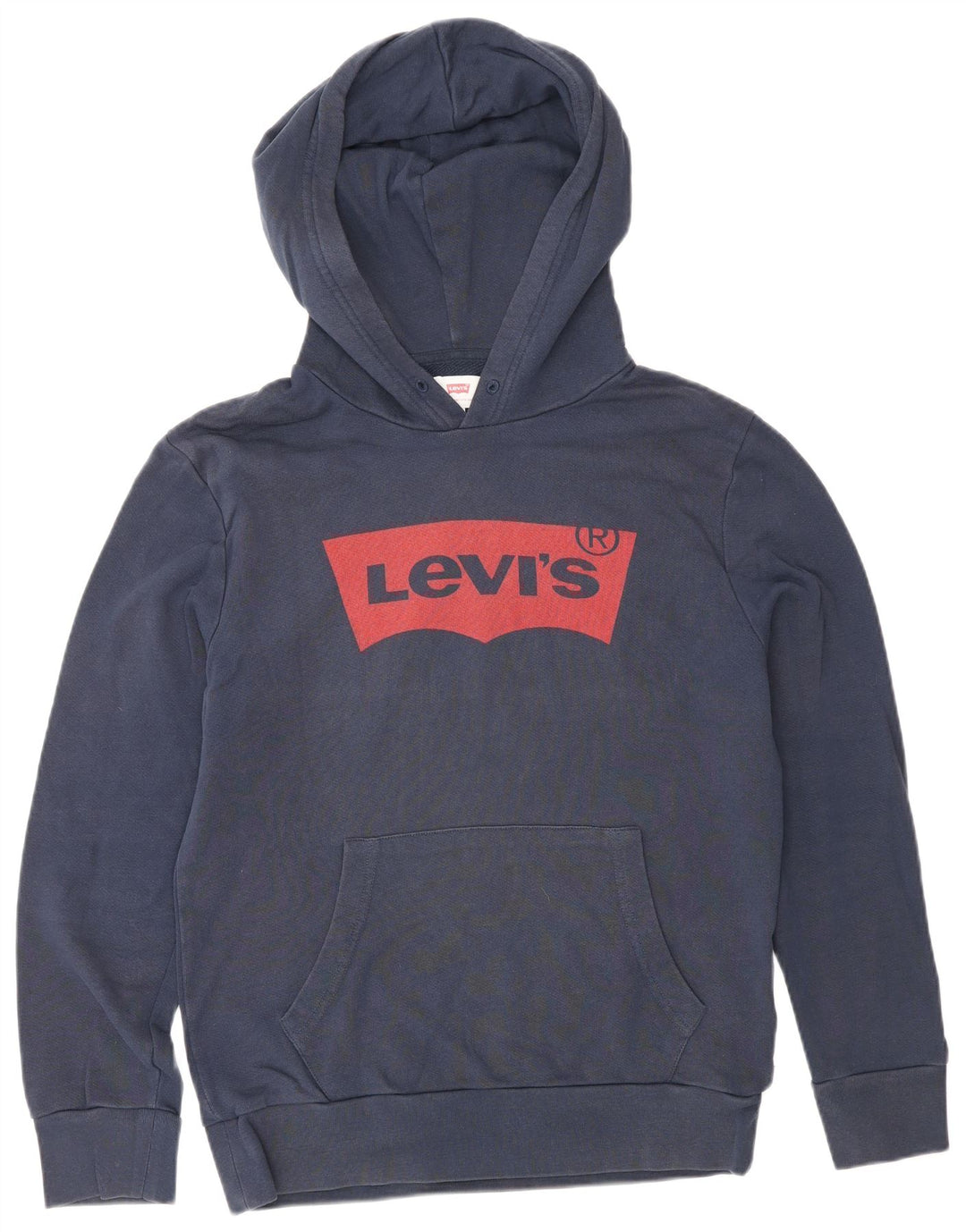 Suéter com capuz gráfico masculino Levi's pequeno algodão azul marinho