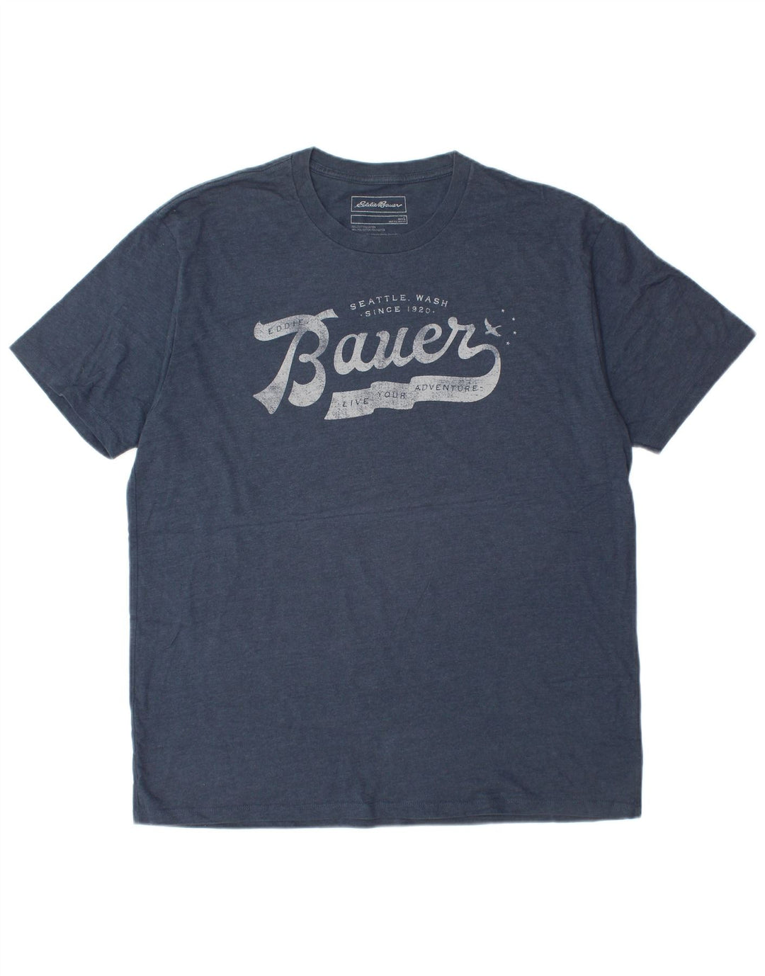 Camiseta masculina EDDIE BAUER com estampa gráfica grande de algodão azul