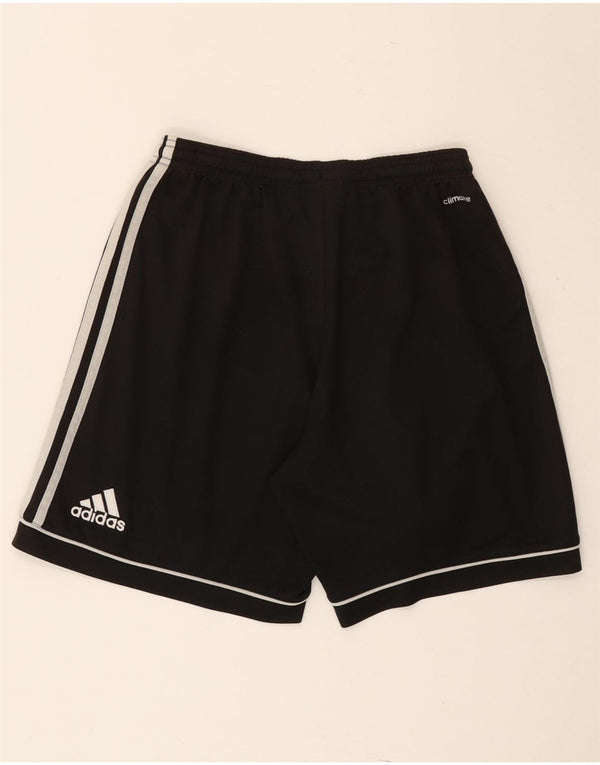 Adidas Masculino Climalite Sport Shorts Pequeno Poliéster Preto