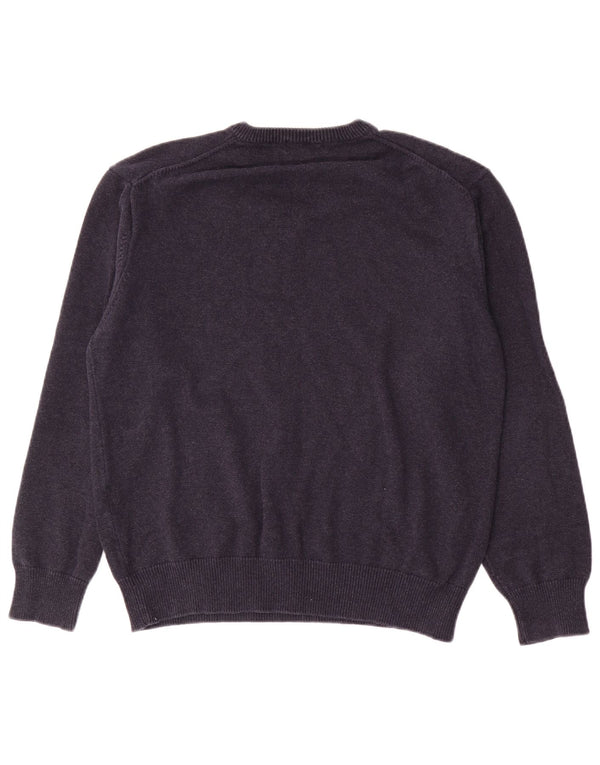 Gant Mens V-Neck Jumper Sweater Large Navy Blue Cotton