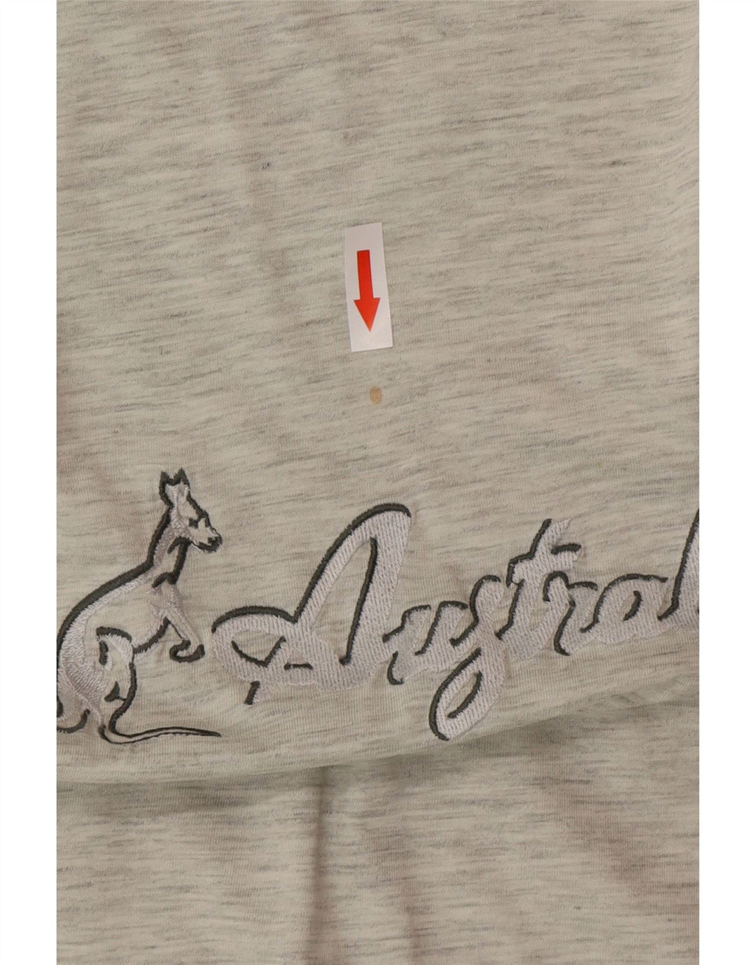 Camiseta gráfica masculina AUSTRALIAN L'ALPINA Top IT 46 pequena cinza manchada