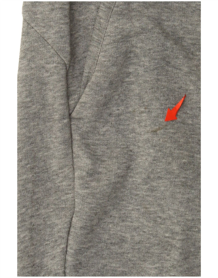 Calça de treino masculina Puma Joggers grande cinza manchado