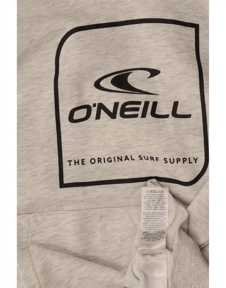 Suéter masculino com capuz gráfico O'NEILL pequeno algodão cinza