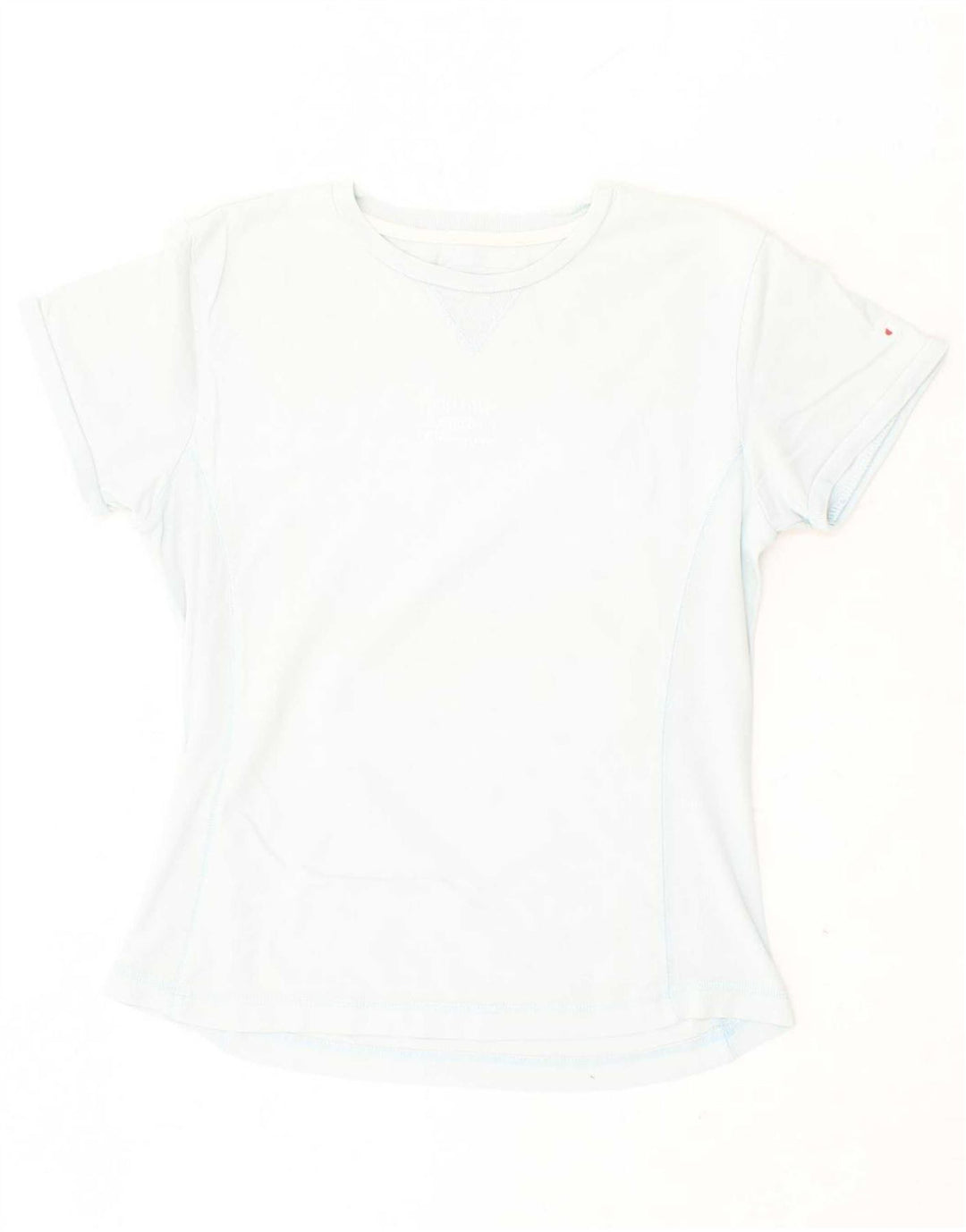 CHAMPION Womens T-Shirt Top UK 18 XL Blue Cotton Vintage Champion and Second-Hand Champion from Messina Hembry 