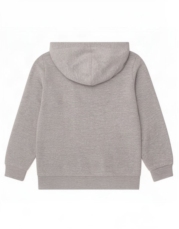 Suéter gráfico com capuz Levi's Boys 5-6 anos algodão manchado cinza
