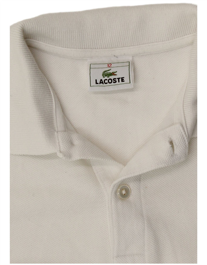 Polo Lacoste Menino 11-12 Anos Algodão Branco