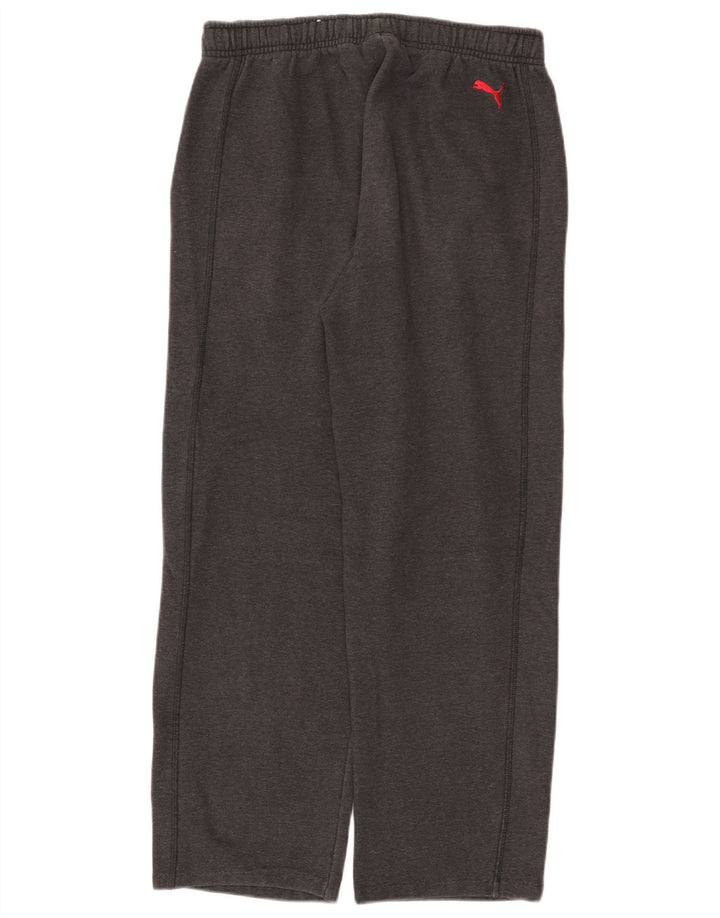 Calça de treino masculina Puma algodão cinza médio