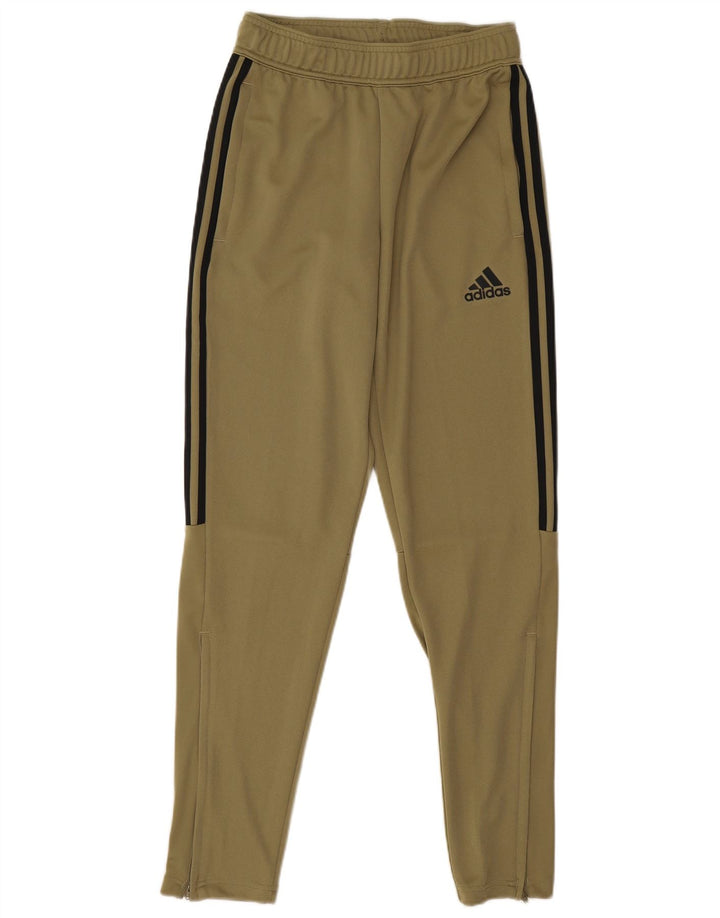 Calça Adidas Masculina Treino Pequeno Poliéster Cáqui