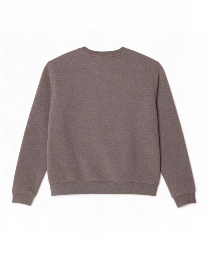 Fila Moletom Masculino Jumper Pequeno Algodão Cinza