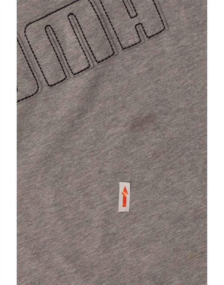 Puma Mens Graphic Top Manga Longa Grande Cinza