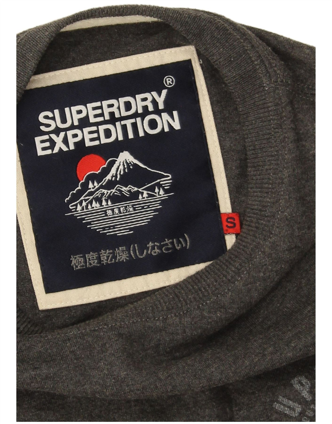 Top masculino Superdry manga comprida pequeno algodão cinza