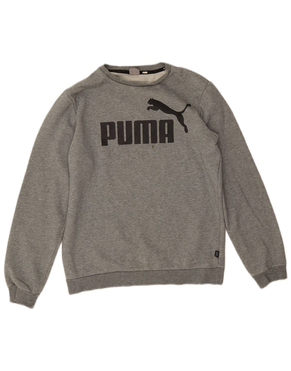 Suéter gráfico Puma Boys Graphic 15-16 anos algodão manchado cinza