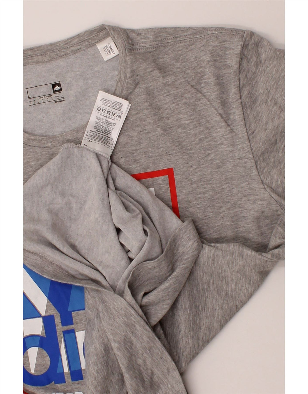 ADIDAS Mens Climalite Graphic T-Shirt Top Large Grey Cotton Vintage Adidas and Second-Hand Adidas from Messina Hembry 