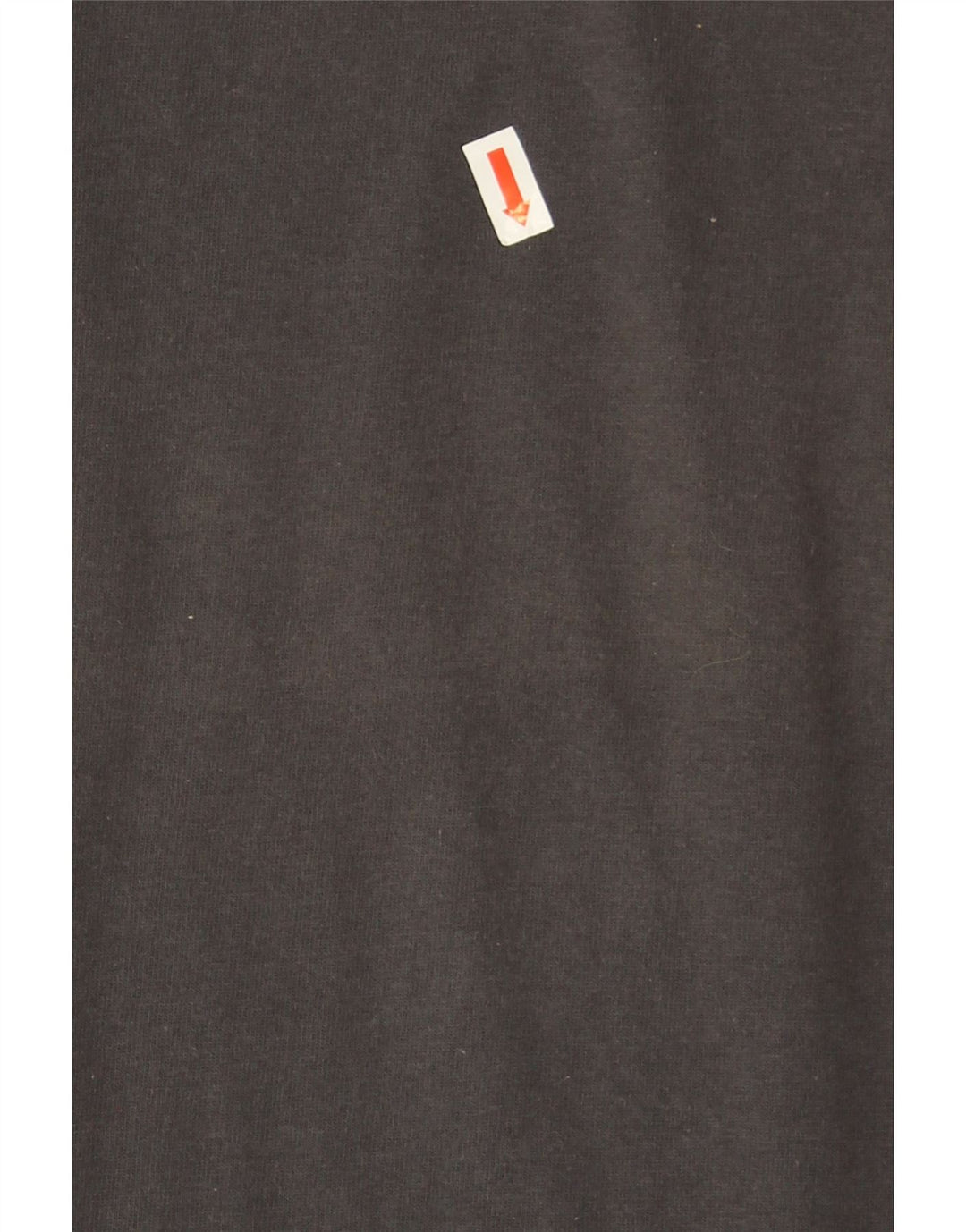 Camiseta masculina Champion XL cinza