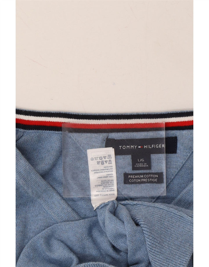 TOMMY HILFIGER Mens V-Neck Jumper Sweater Large Blue Cotton Vintage Tommy Hilfiger and Second-Hand Tommy Hilfiger from Messina Hembry 