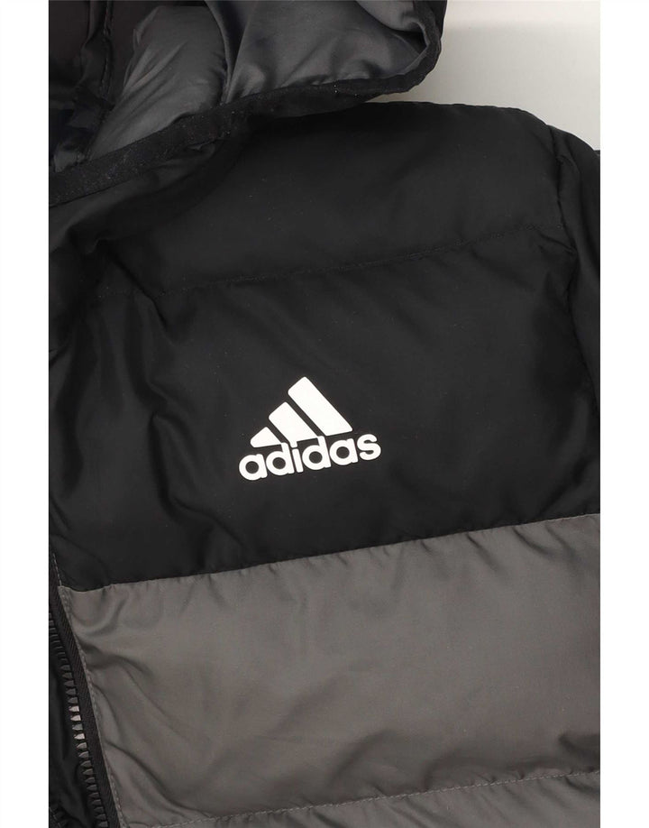 Casaco acolchoado com capuz Adidas Boys 13-14 anos cinzento colorblock