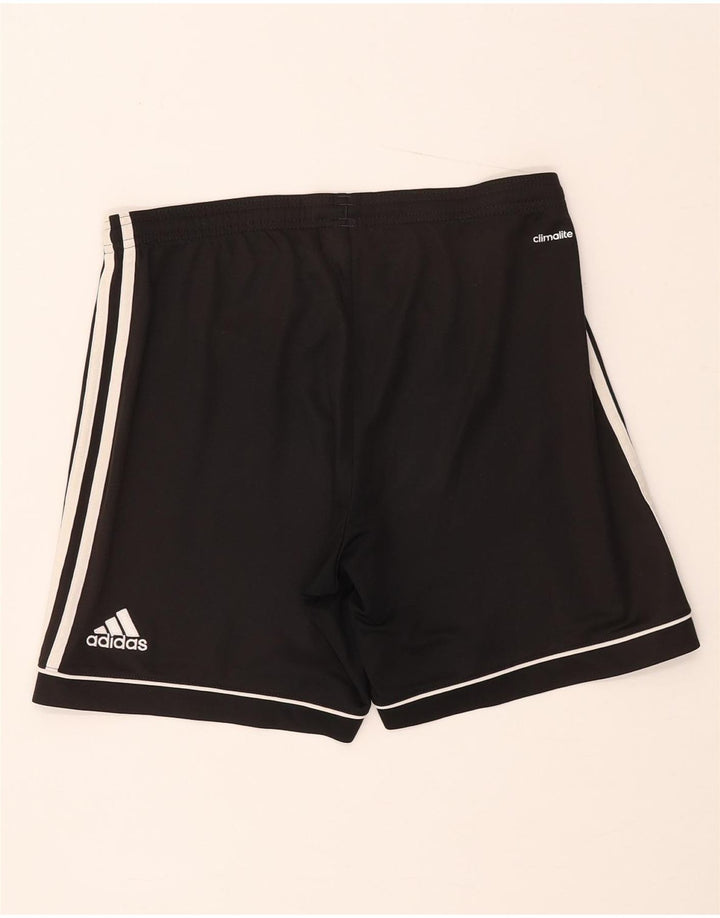 Adidas Masculino Climalite Sport Shorts Pequeno Poliéster Preto