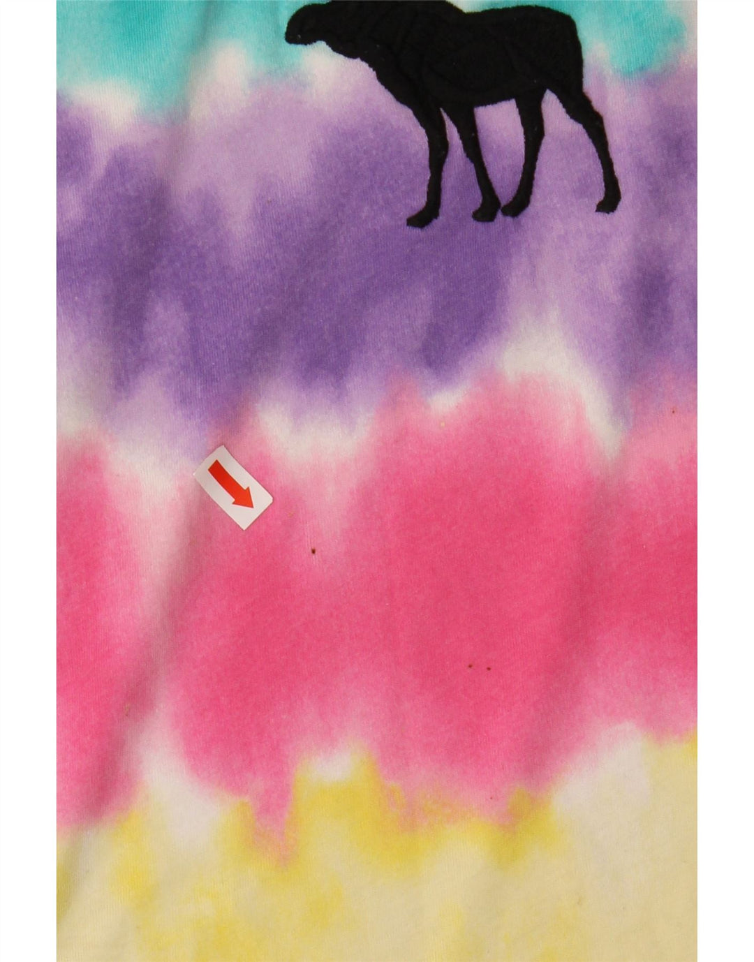 Camiseta gráfica feminina ABERCROMBIE & FITCH 13-14 anos multicolorido