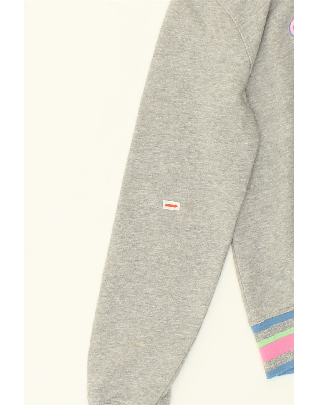 CHAMPION Womens Graphic Hoodie Jumper UK 10 Small Grey Cotton | Vintage Champion | Thrift | Second-Hand Champion | Used Clothing | Messina Hembry 