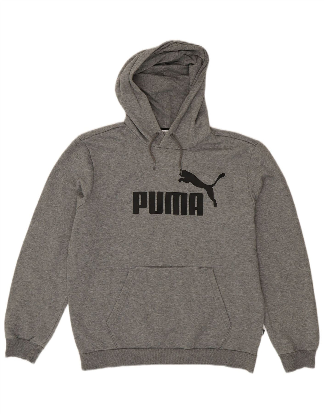 PUMA Mens Graphic Hoodie Jumper Médio Algodão Cinza