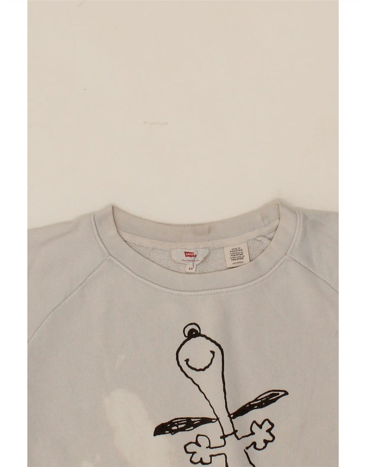 LEVI'S Mens Graphic Sweatshirt Jumper XS Grey Cotton Vintage Levi's and Second-Hand Levi's from Messina Hembry 