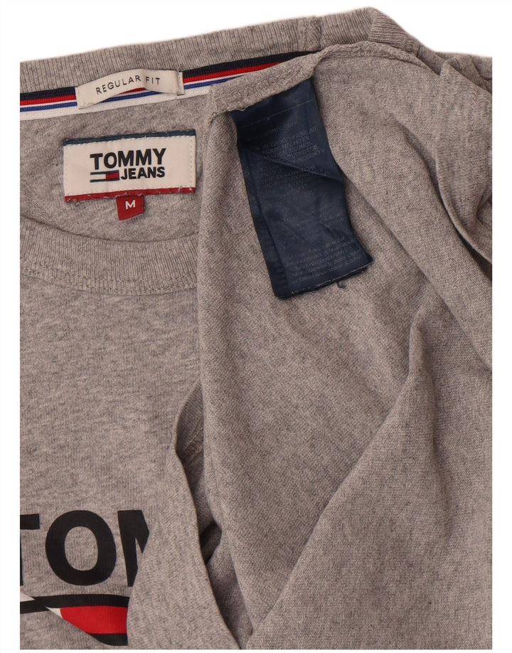 Tommy Hilfiger Mens Regular Fit Graphic Top Manga Longa Médio Algodão Cinza