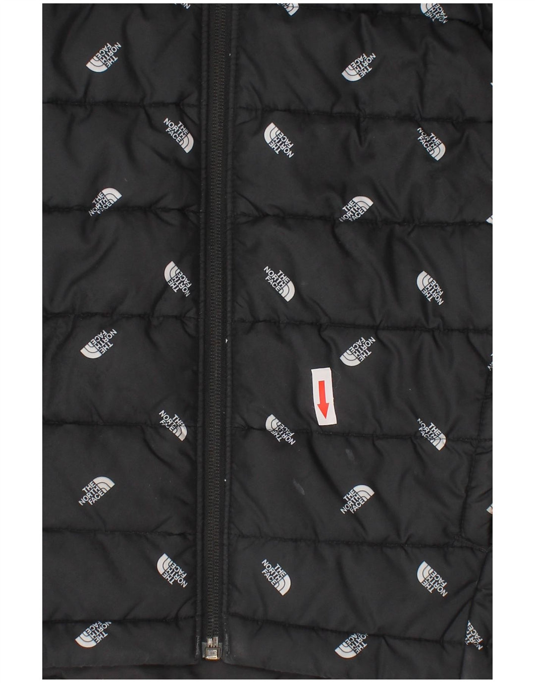 Jaqueta acolchoada com capuz gráfico The North Face Boys 9-10 anos médio preto
