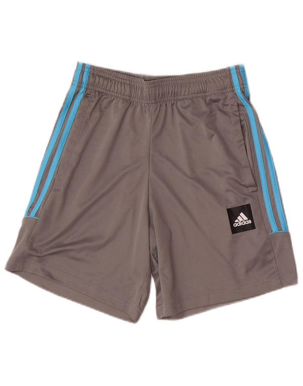 Adidas Mens Graphic Regular Sport Shorts Pequeno Cinza Esportes