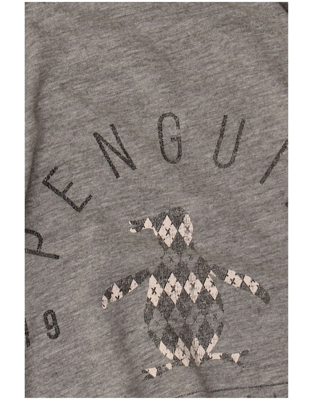 Camiseta gráfica masculina Penguin Top grande algodão cinza