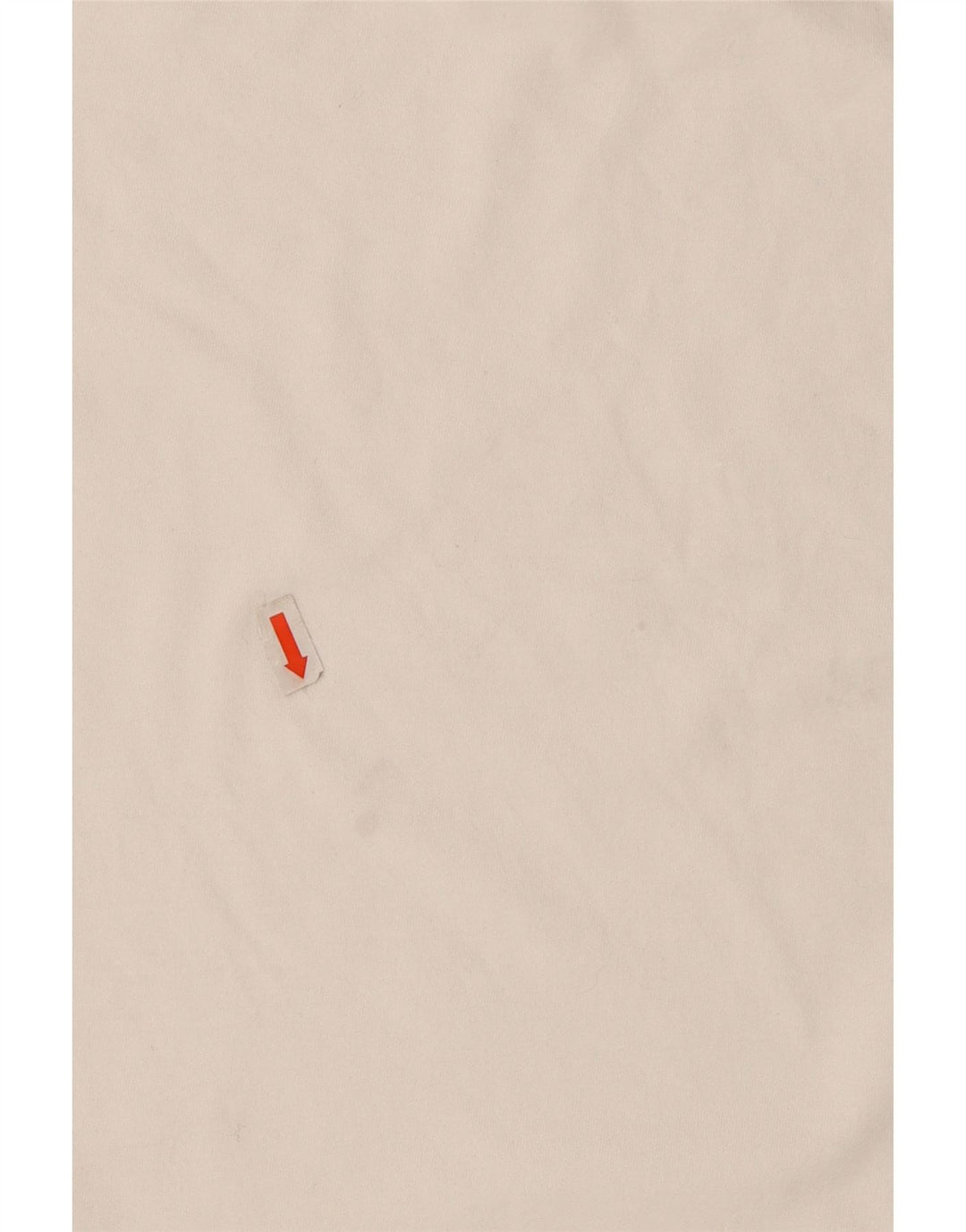 CAMPEÃO Camiseta masculina gráfica grande algodão branco