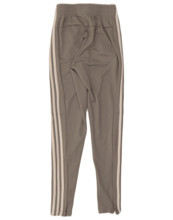Calças de treino femininas Adidas UK 0/2 2XS cinza poliéster