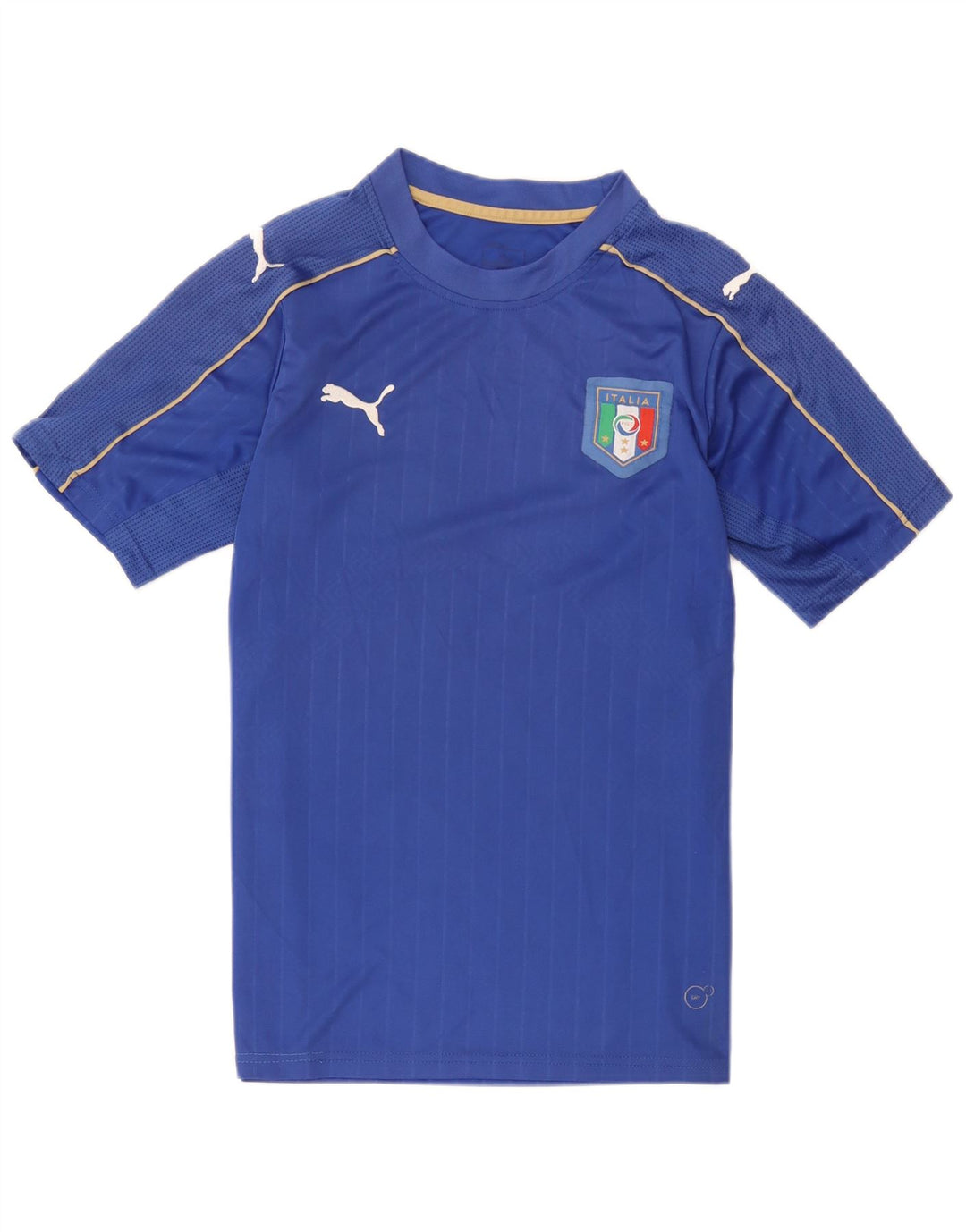 Camiseta Puma Mens Italia Graphic Top Azul Médio Poliéster
