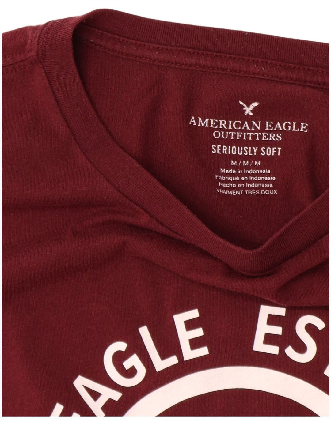 Camiseta gráfica masculina AMERICAN EAGLE algodão médio Borgonha