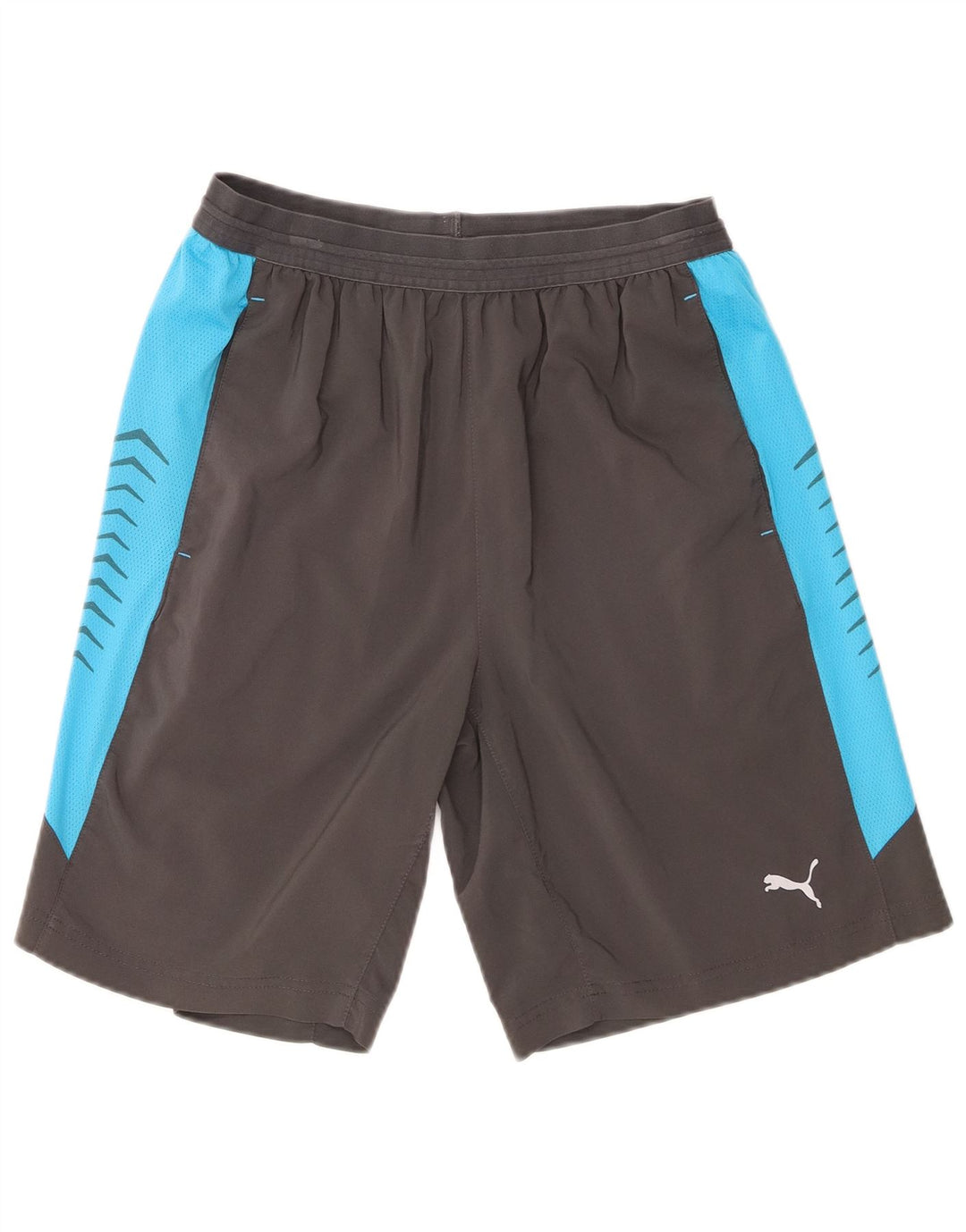 Shorts esportivos masculinos Puma médio cinza colorblock poliéster