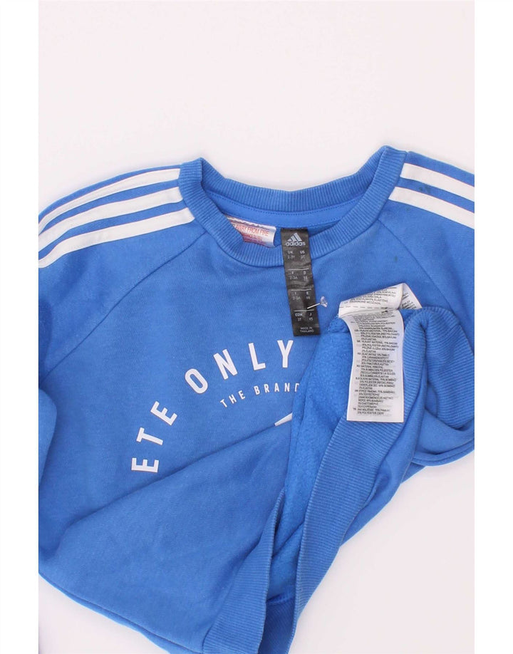 Adidas meninos moletom gráfico jumper 2-3 anos azul algodão