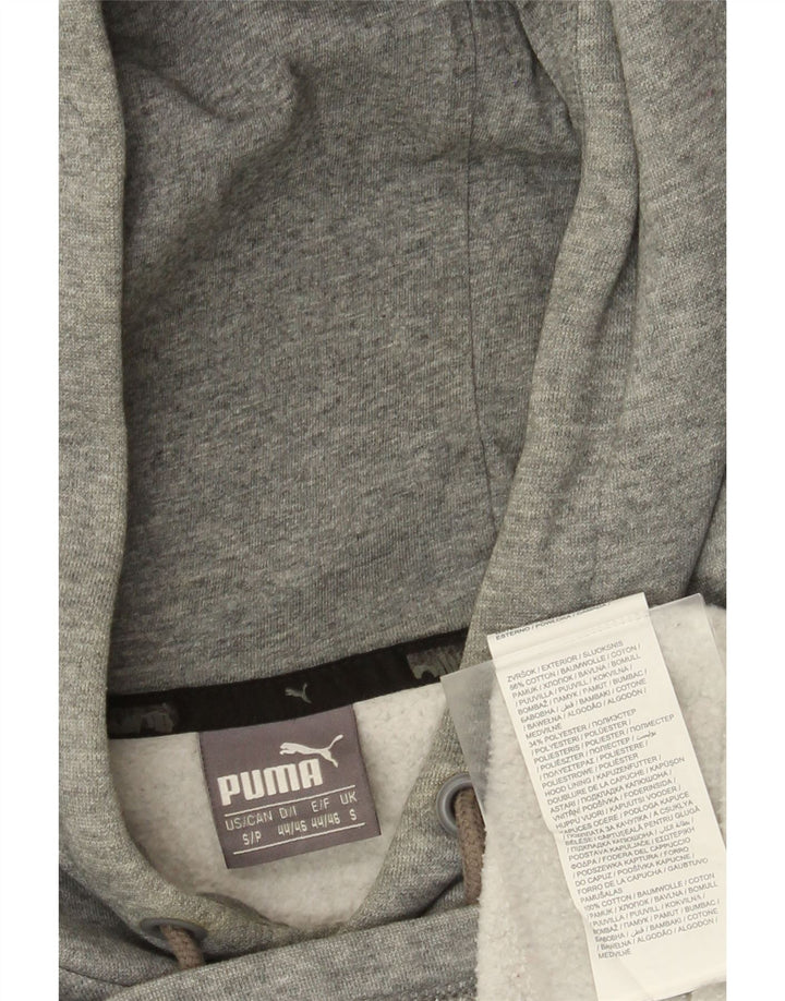 Puma masculino gráfico moletom com capuz pequeno cinza colorblock algodão