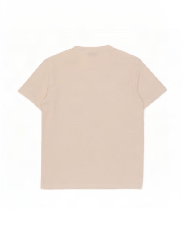 Camiseta masculina Calvin Klein pequena branca