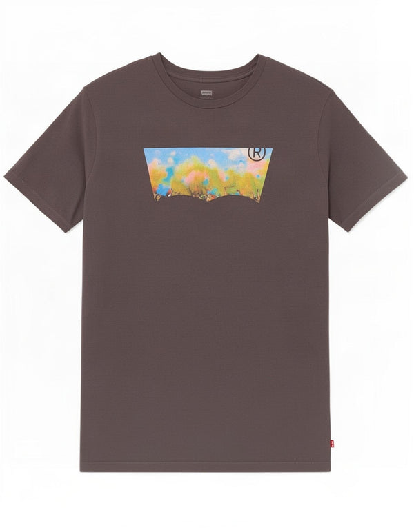Camiseta gráfica masculina Levi's grande cinza