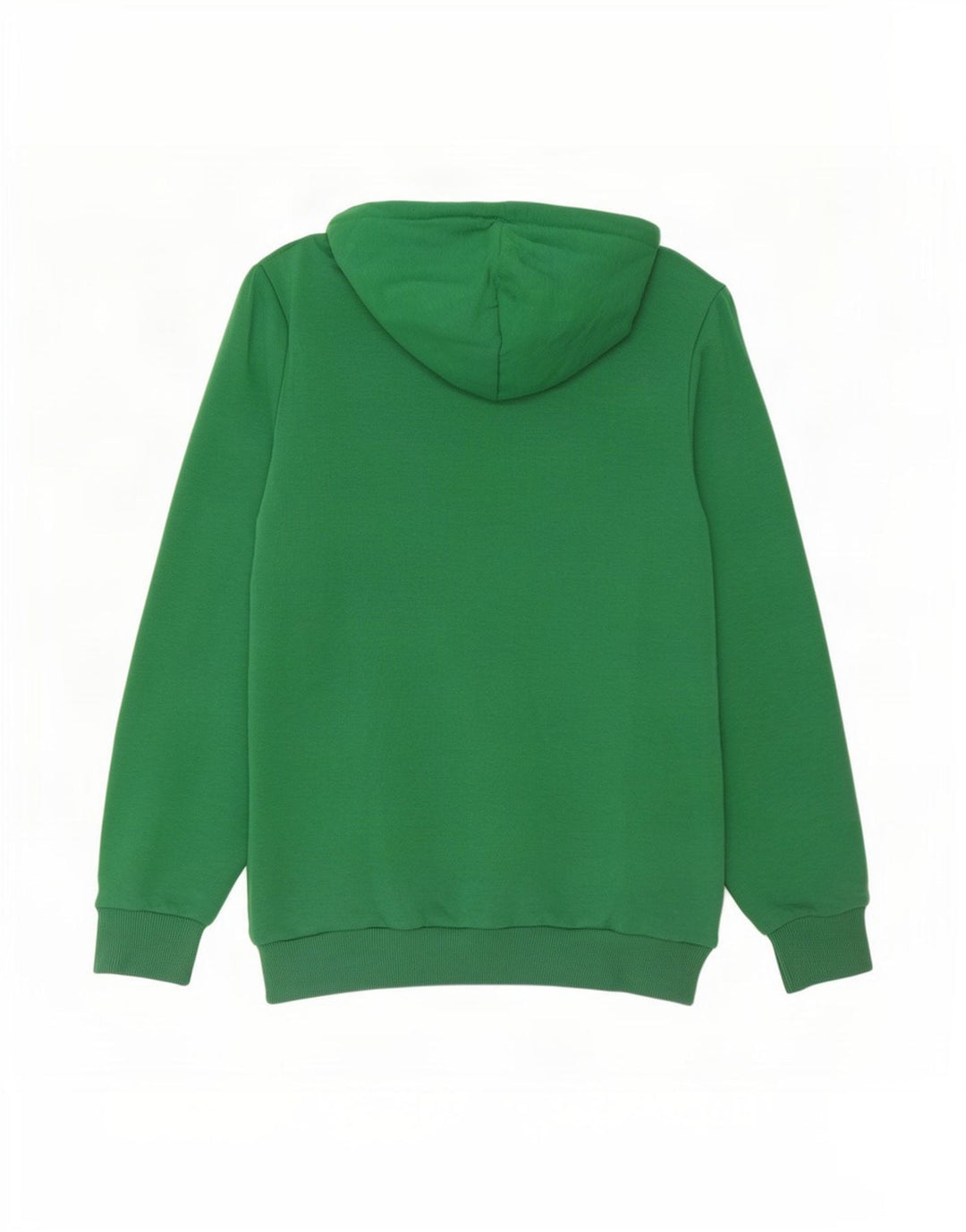 Puma masculino gráfico moletom com capuz verde médio