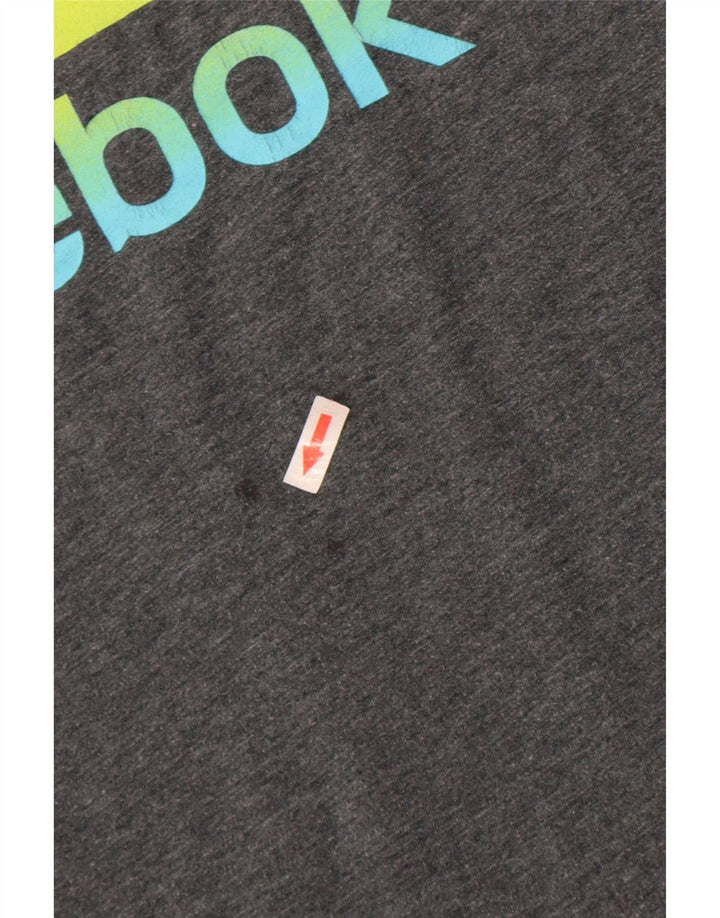 Reebok Mens Graphic T-Shirt Top Grande Cinza Poliéster