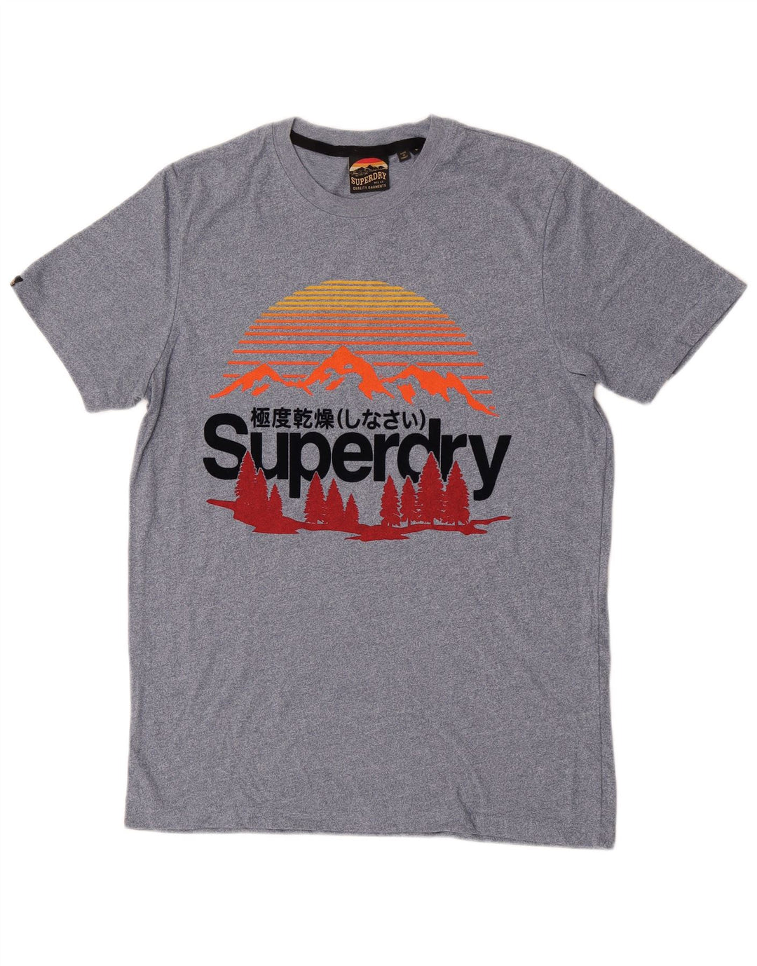 Superdry camiseta masculina gráfica top pequeno azul algodão