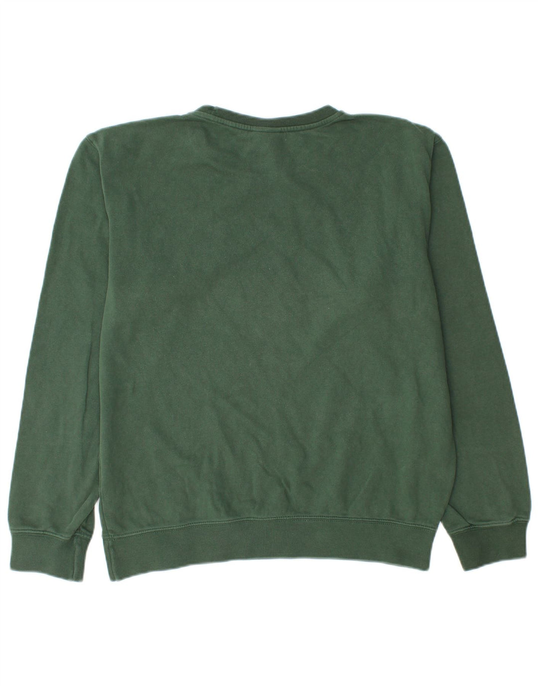 CHAMPION Suéter gráfico masculino com capuz verde médio