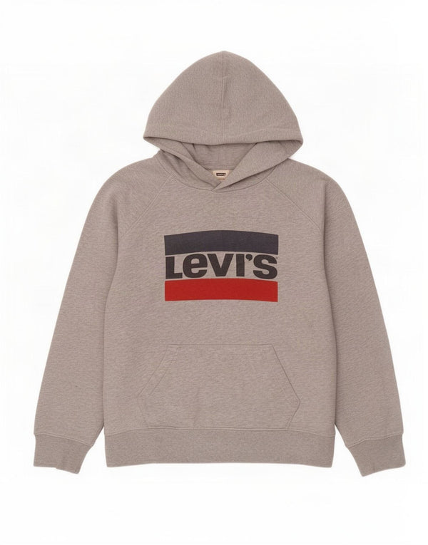 Suéter com capuz gráfico masculino Levi's grande algodão manchado cinza