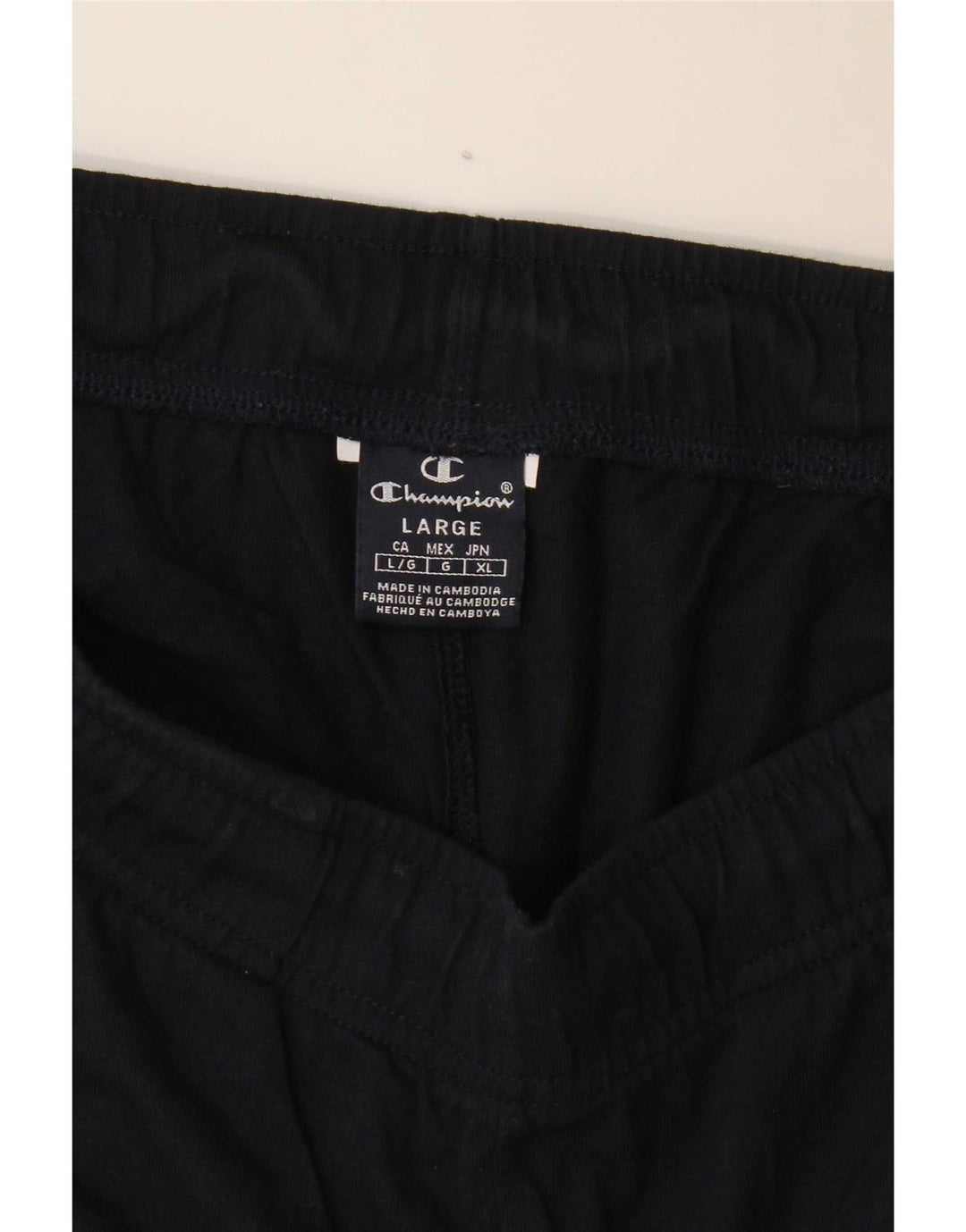 Shorts esportivos gráficos masculinos Champion grandes azul marinho