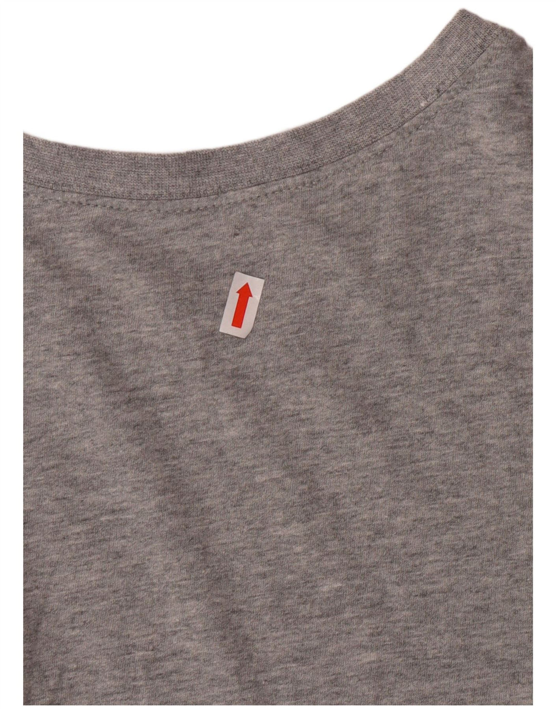 Camiseta masculina NIKE grande algodão cinza