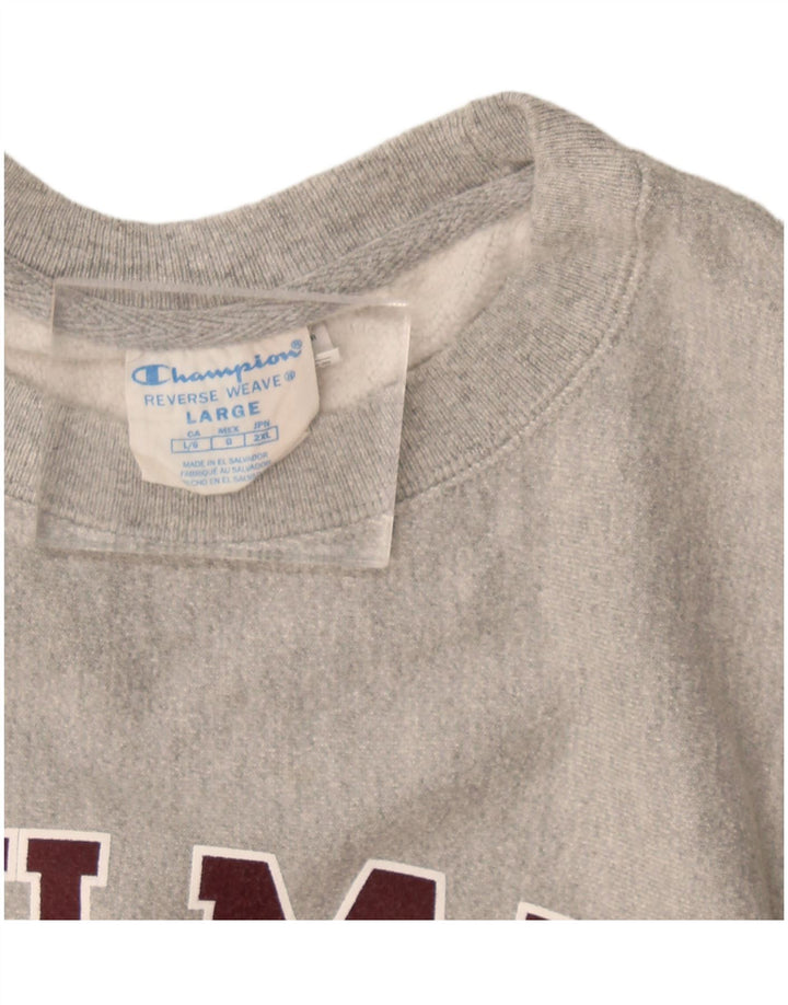 Champion moletom gráfico masculino jumper grande algodão cinza